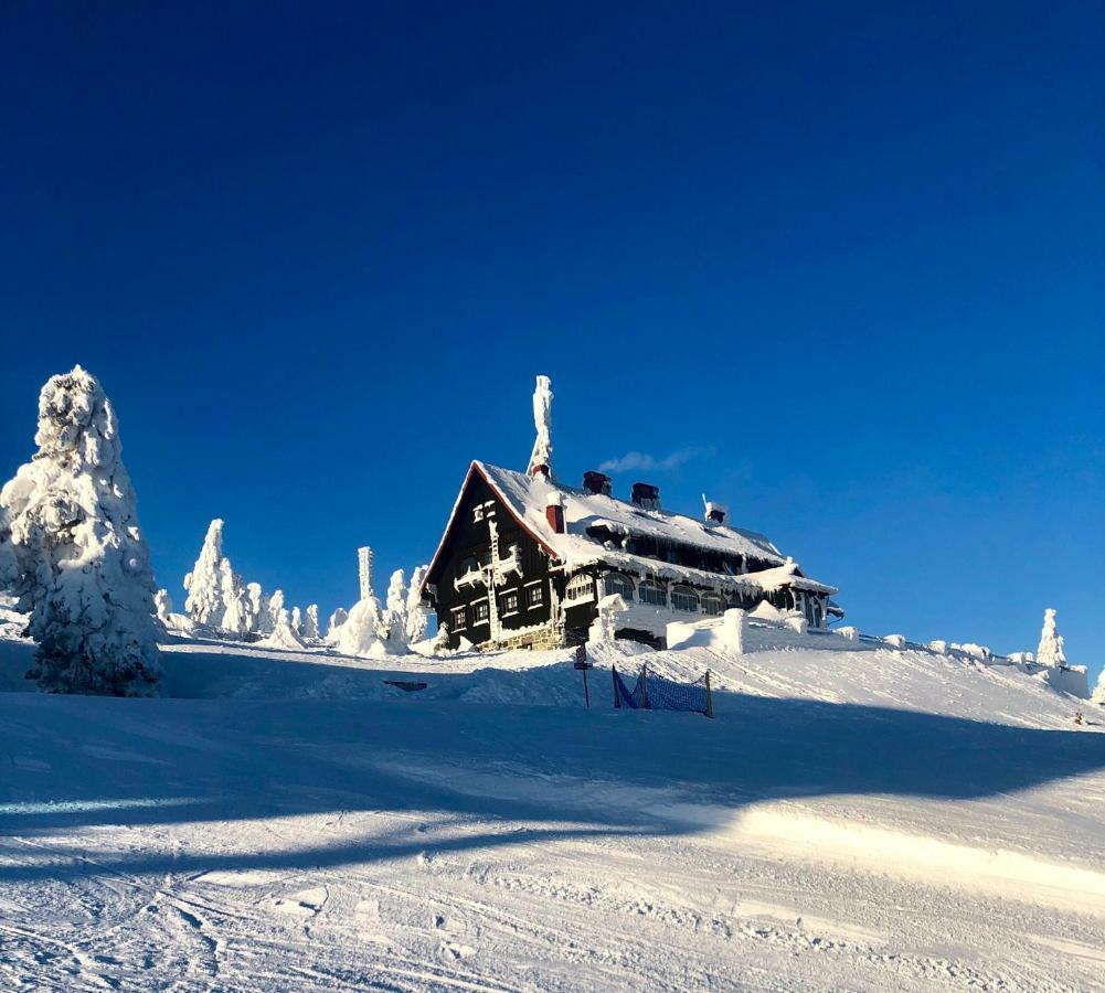 Ski Sun Sea - Rodzinny Apartament Pod Gondola Świeradów-Zdrój 外观 照片